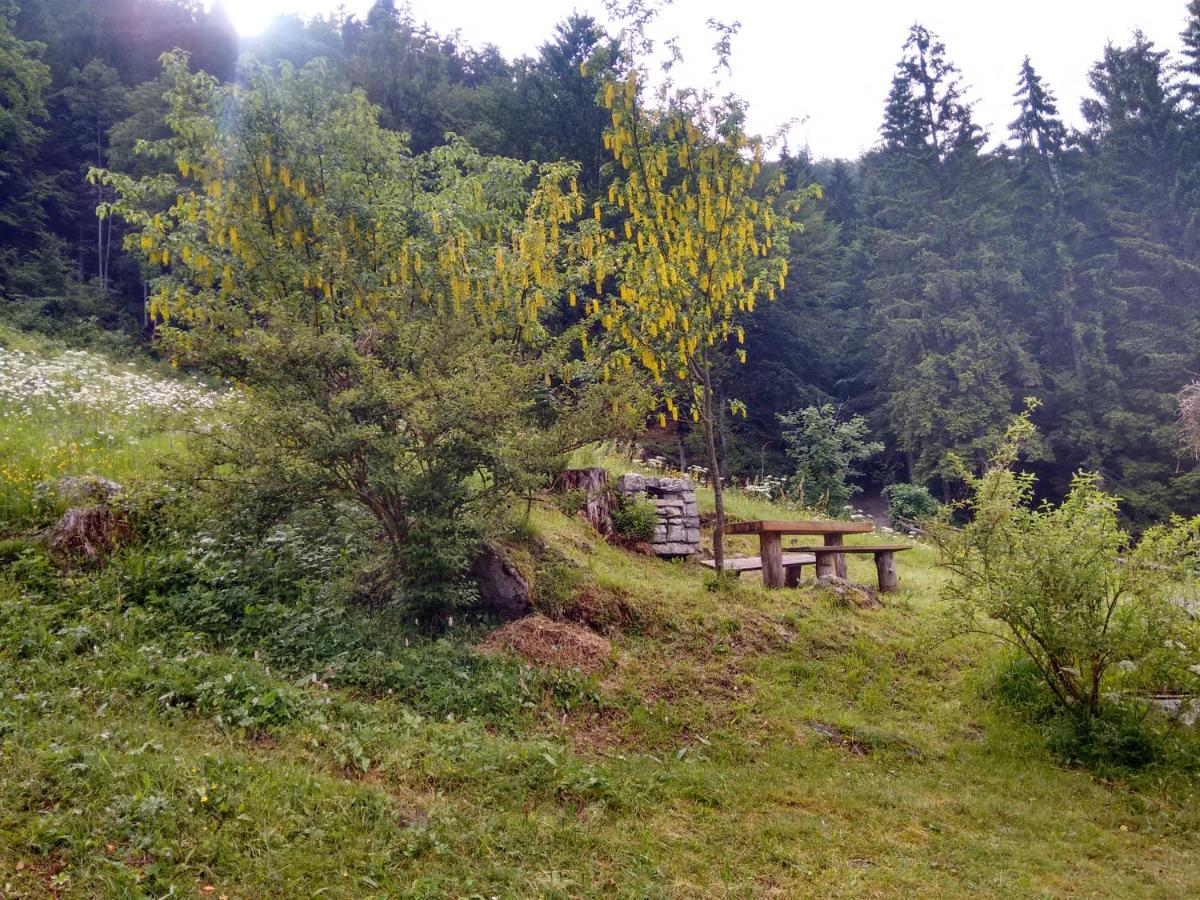 Вілла Agritur Manoncin Даоне Екстер'єр фото