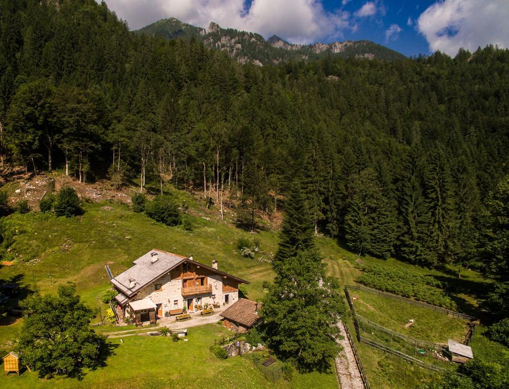 Вілла Agritur Manoncin Даоне Екстер'єр фото