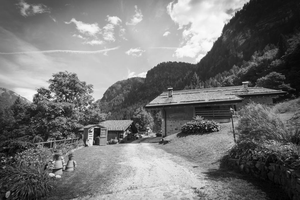 Вілла Agritur Manoncin Даоне Екстер'єр фото